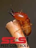 SES Termite Control Melbourne image 4